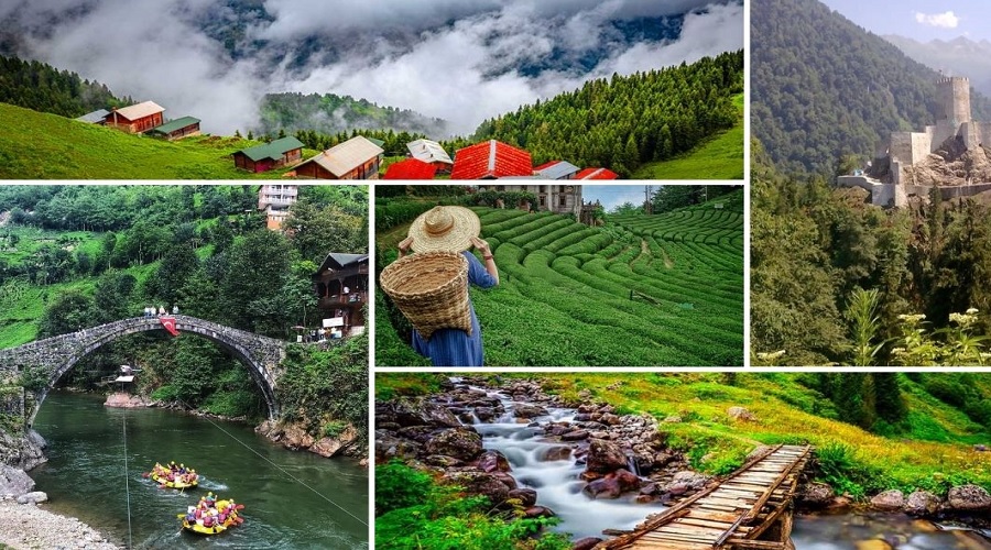 Rize Adliyesi ve Mahkemeleri